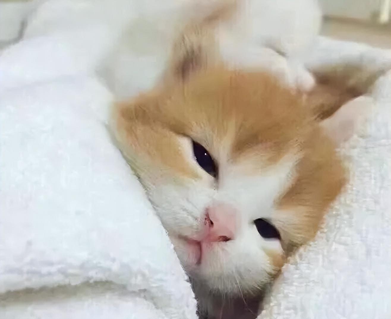 麦克风没声音，这个选项要开启！