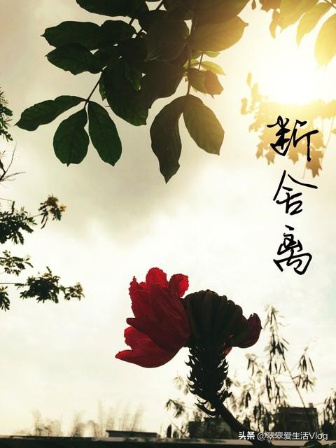 断舍离,电子产品的折旧真得好厉害