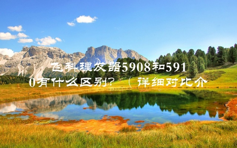 飞科理发器5908和5910有什么区别？（详细对比介绍，让你选对适合自己的产品）