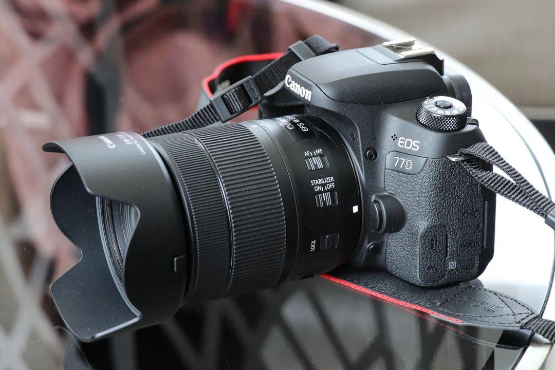 合肥相机回收：为什么推荐新手使用佳能77D？