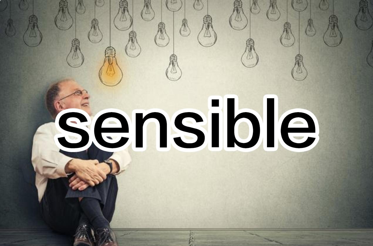 随时随地记单词，今日学习：sensible