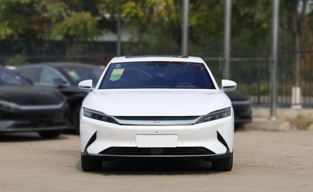 纯电动汽车别乱选!口碑较好的30款,汉EV、Model 3前十,海豚上榜