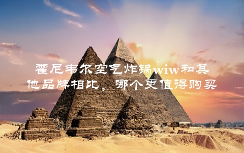 霍尼韦尔空气炸锅wiw和其他品牌相比，哪个更值得购买？