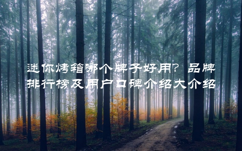 迷你烤箱哪个牌子好用？品牌排行榜及用户口碑介绍大介绍