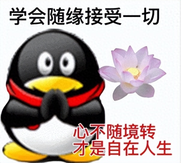QQ,到了不能不变的境地