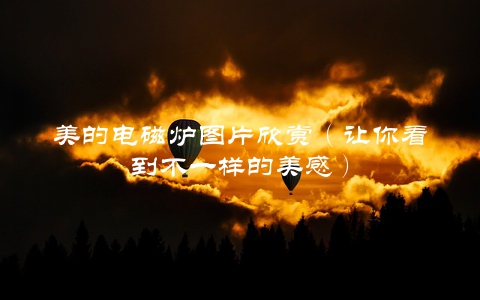 美的电磁炉图片欣赏（让你看到不一样的美感）