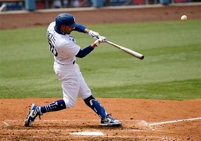 field你知道它有几个意思吗 一则新闻带你看明白