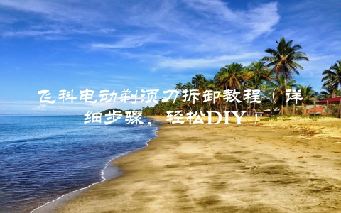 飞科电动剃须刀拆卸教程（详细步骤，轻松DIY）