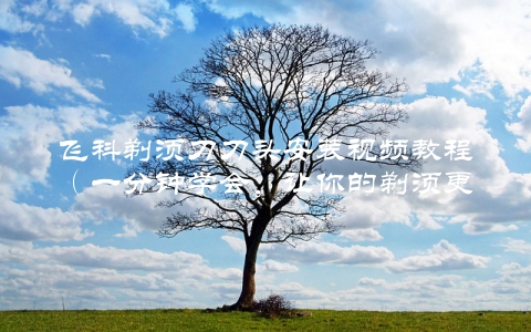 飞科剃须刀刀头安装视频教程（一分钟学会，让你的剃须更加轻松）
