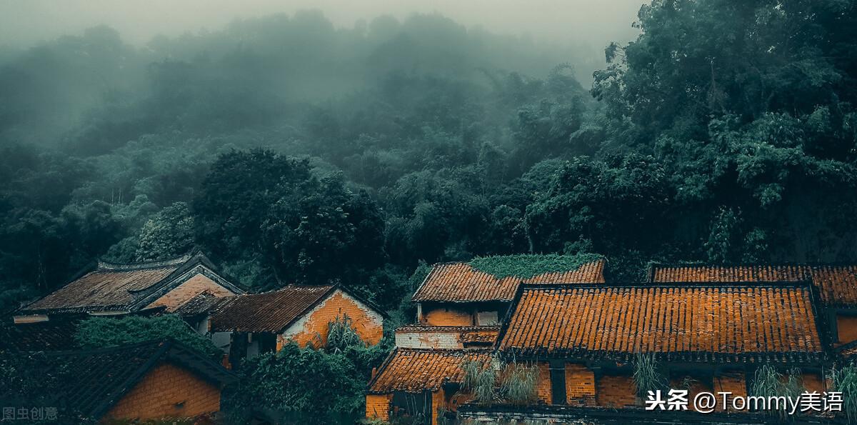 每天记一个单词（第3349）isolated