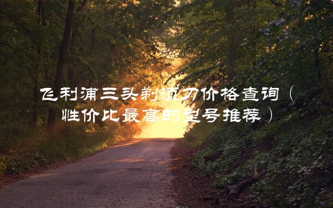 飞利浦三头剃须刀价格查询（性价比最高的型号推荐）