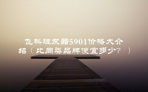飞科理发器5901价格大介绍（比同类品牌便宜多少？）