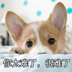 8个可以免费学习的网站，海量高清教学视频在线观看，别错过了