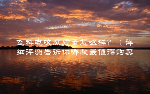 飞科电吹风质量怎么样？（详细评测告诉你哪款最值得购买）