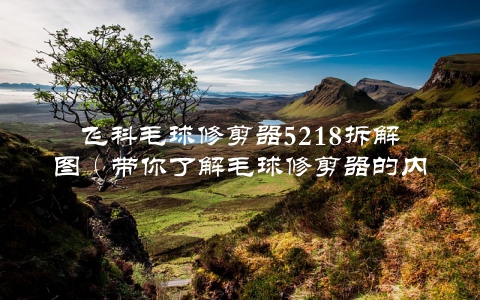飞科毛球修剪器5218拆解图（带你了解毛球修剪器的内部构造）