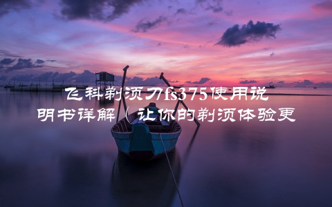 飞科剃须刀fs375使用说明书详解（让你的剃须体验更加完美）