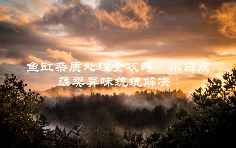 鱼缸杂质处理全攻略（小白点藻类异味统统解决）