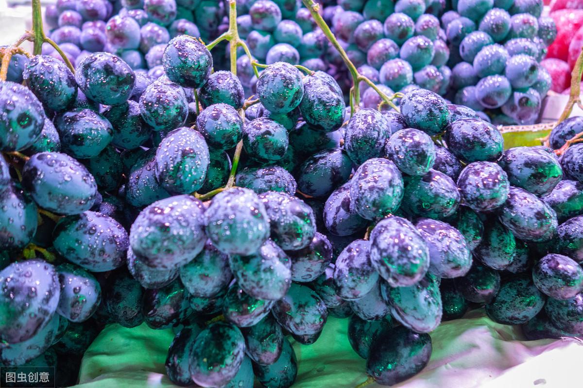 20秒记一个单词（第841个）grape