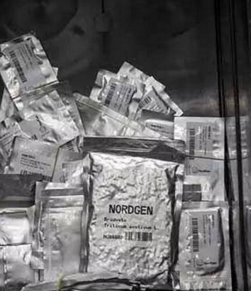 探秘全球最神秘的种子库，为世界末日而准备！