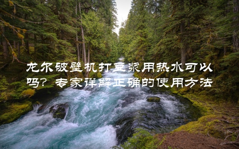 龙尔破壁机打豆浆用热水可以吗？专家详解正确的使用方法