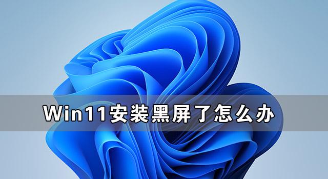 win11预览版安装黑屏怎么办（win10开机logo后黑屏）