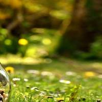 我如何用2600买到华为P20?