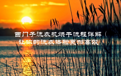 西门子洗衣机烘干流程详解（让你的洗衣体验更加高效）