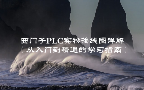西门子PLC实物接线图详解（从入门到精通的学习指南）