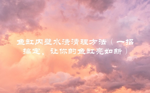 鱼缸内壁水渍清理方法（一招搞定，让你的鱼缸亮如新）