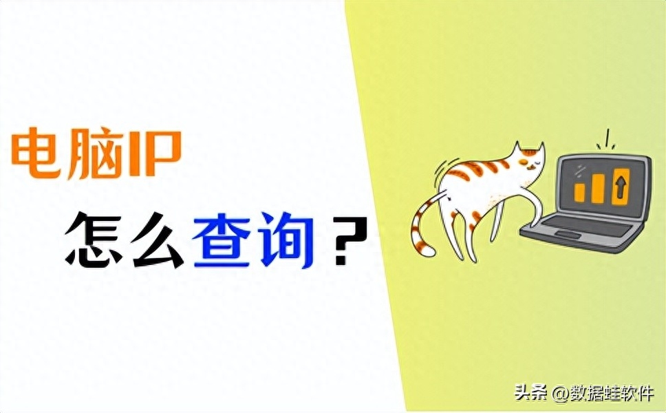 电脑IP查询怎么做?4招教你简单查询IP!