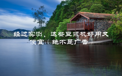 经过实测，这些豆浆机好用又便宜（绝不是广告）