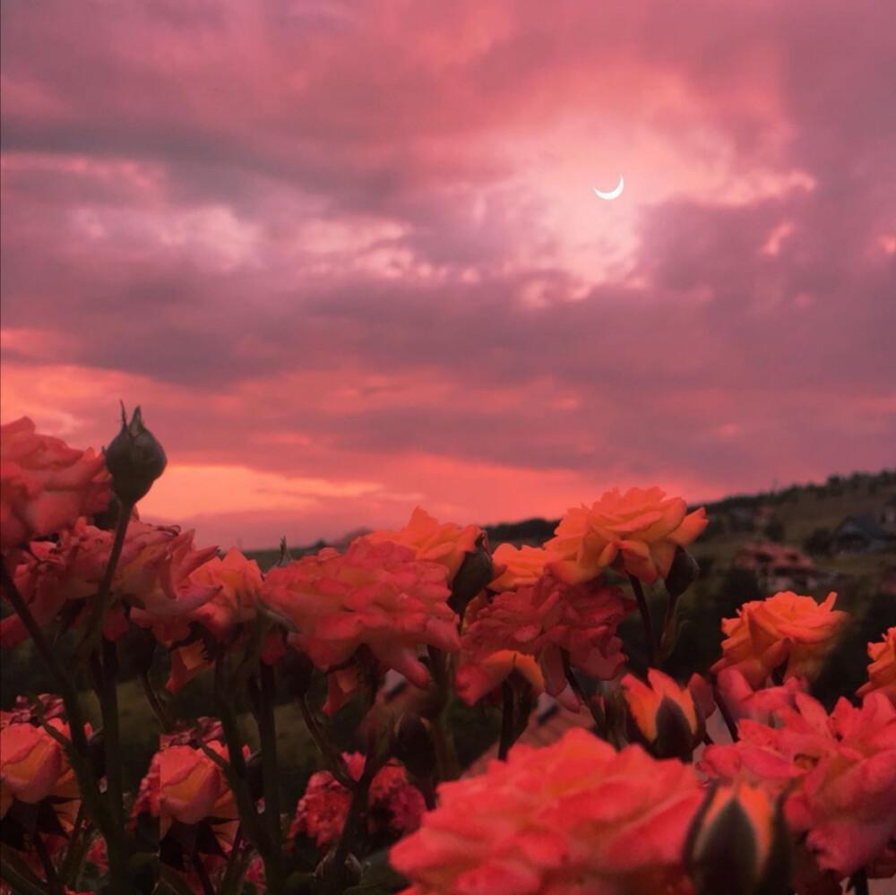 温柔到爆的神仙背景图