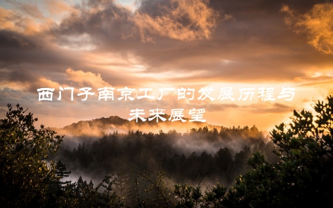 西门子南京工厂的发展历程与未来展望