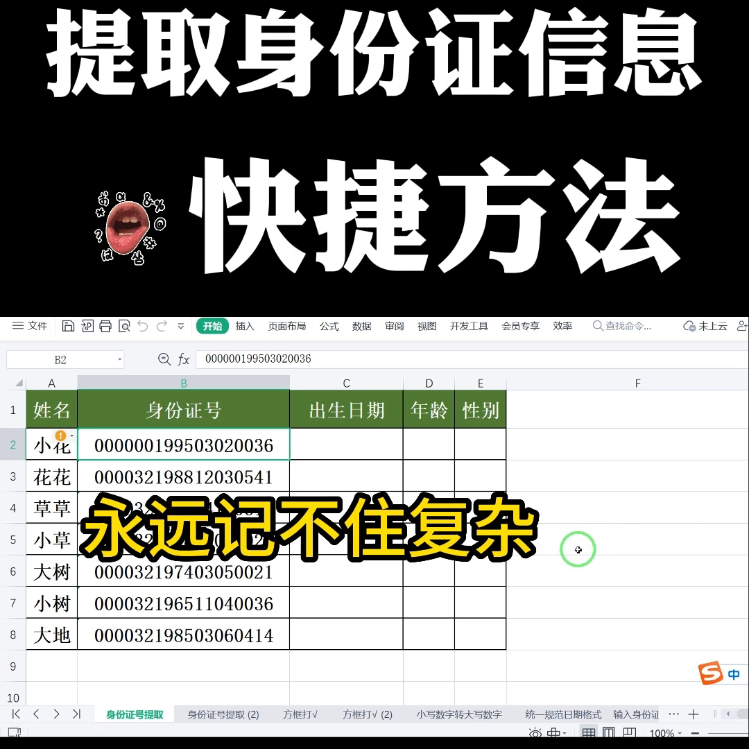#wps表格入门基础教程