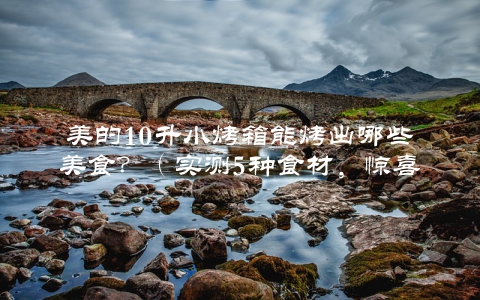 美的10升小烤箱能烤出哪些美食？（实测5种食材，惊喜不断）
