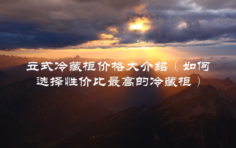 立式冷藏柜价格大介绍（如何选择性价比最高的冷藏柜）