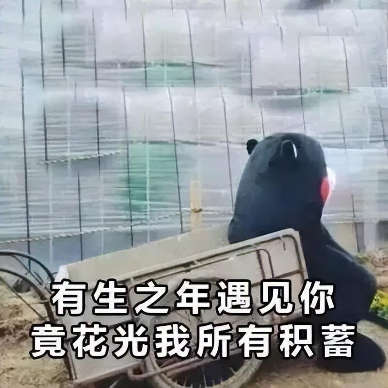 斗战神2（斗战神app）