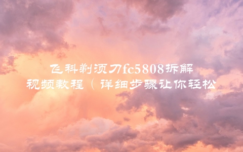 飞科剃须刀fc5808拆解视频教程（详细步骤让你轻松拆解）