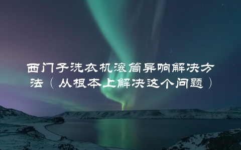 西门子洗衣机滚筒异响解决方法（从根本上解决这个问题）