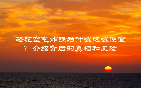 骆驼空气炸锅为什么这么便宜？介绍背后的真相和风险