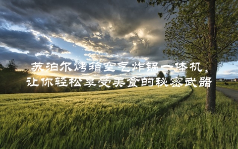 苏泊尔烤箱空气炸锅一体机，让你轻松享受美食的秘密武器