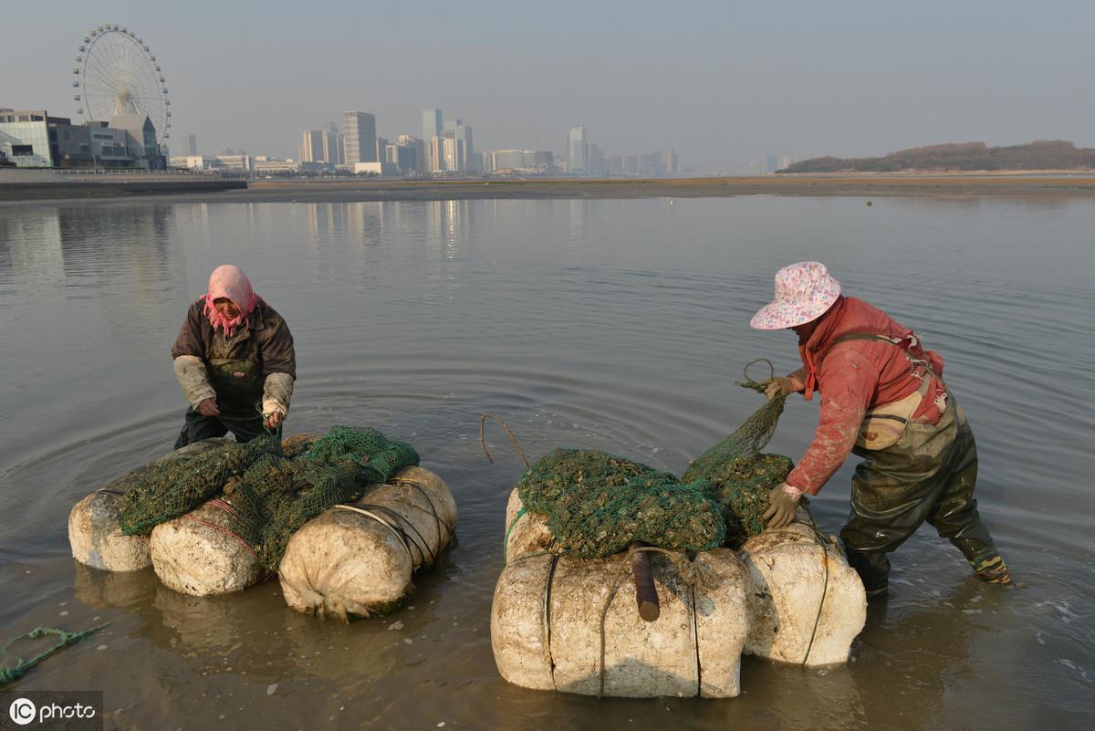 15秒记一个单词（第700个）pond