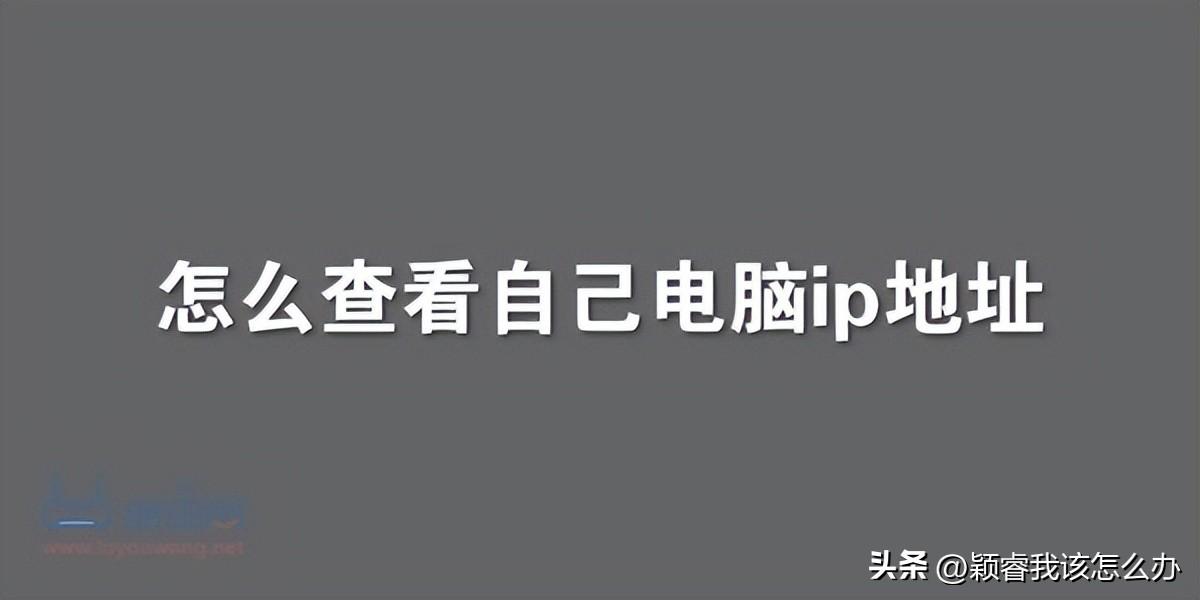 【电脑知识】怎么查看自己电脑ip地址?