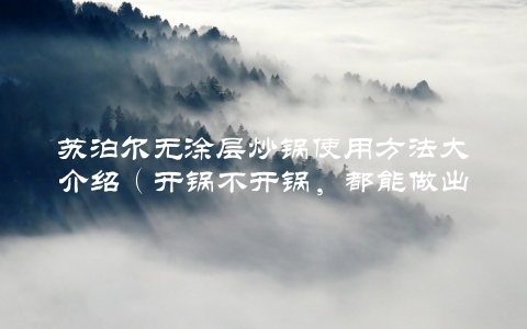 苏泊尔无涂层炒锅使用方法大介绍（开锅不开锅，都能做出美味佳肴）