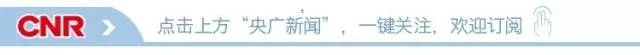 和孩子一起读诗｜只在此山中，云深不知处