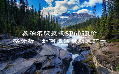 苏泊尔破壁机SP605R价格分析（如何选购最划算的一款）