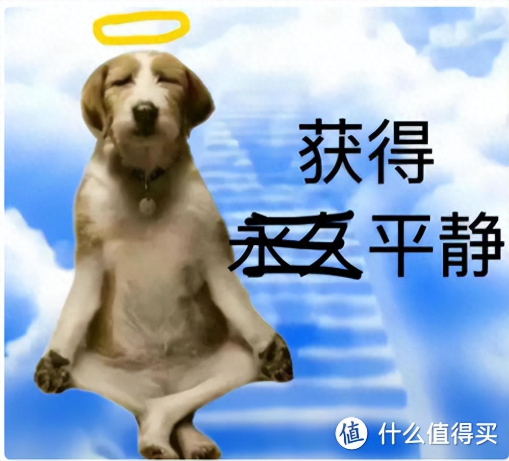 为什么 AMD 显卡公认性价比更高,但为啥却是叫好不叫座?