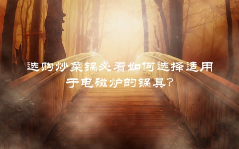 选购炒菜锅必看如何选择适用于电磁炉的锅具？