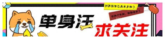 华为手机价格下跌,三款旗舰机型值得入手