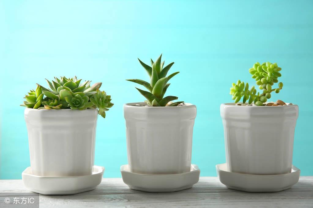 “花盆”用英语怎么说？